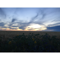 ООО Агропродукт